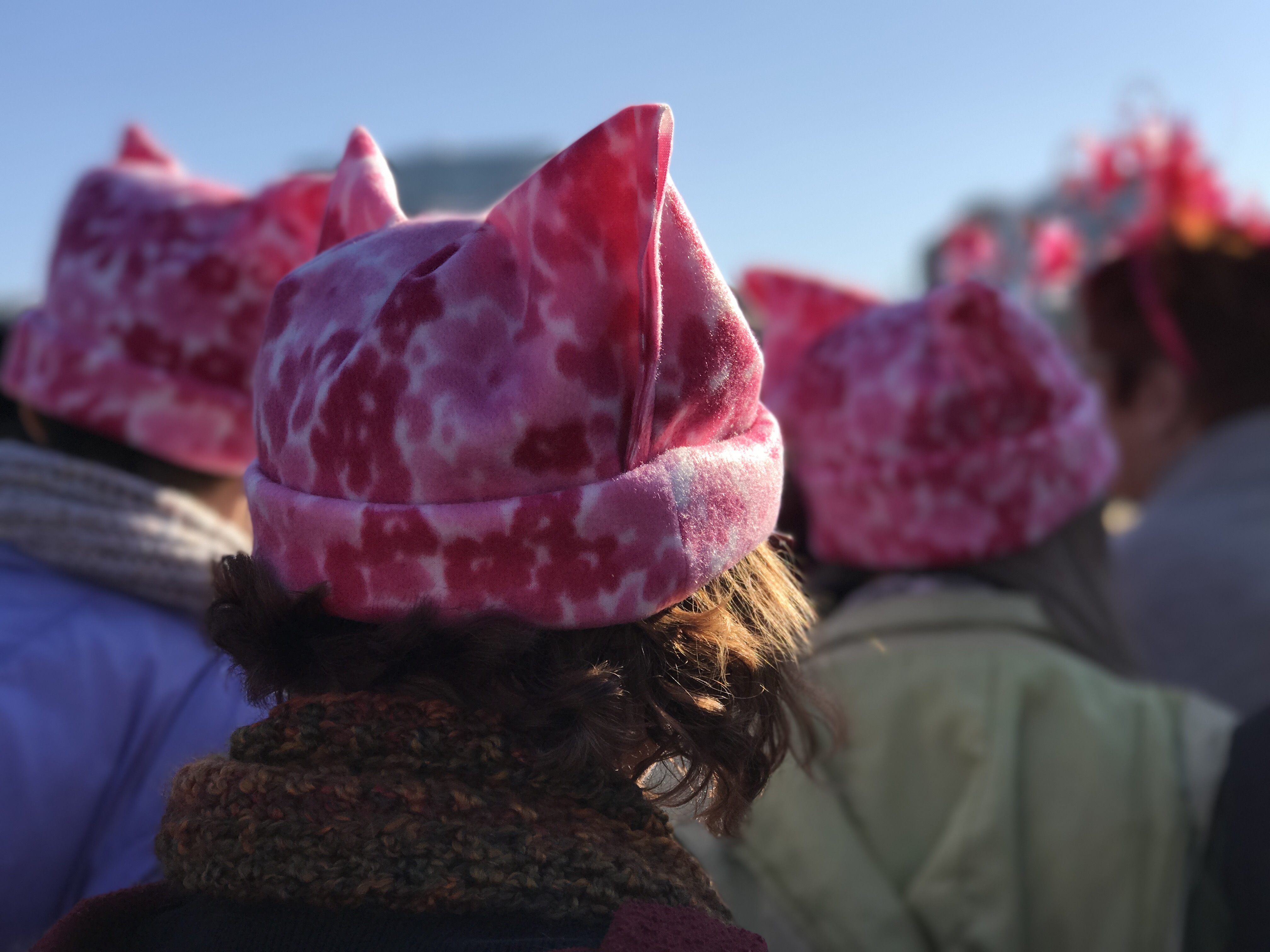 Why I Attended the Boston Women's March, in Spite of Anxiety | Feather & Flint